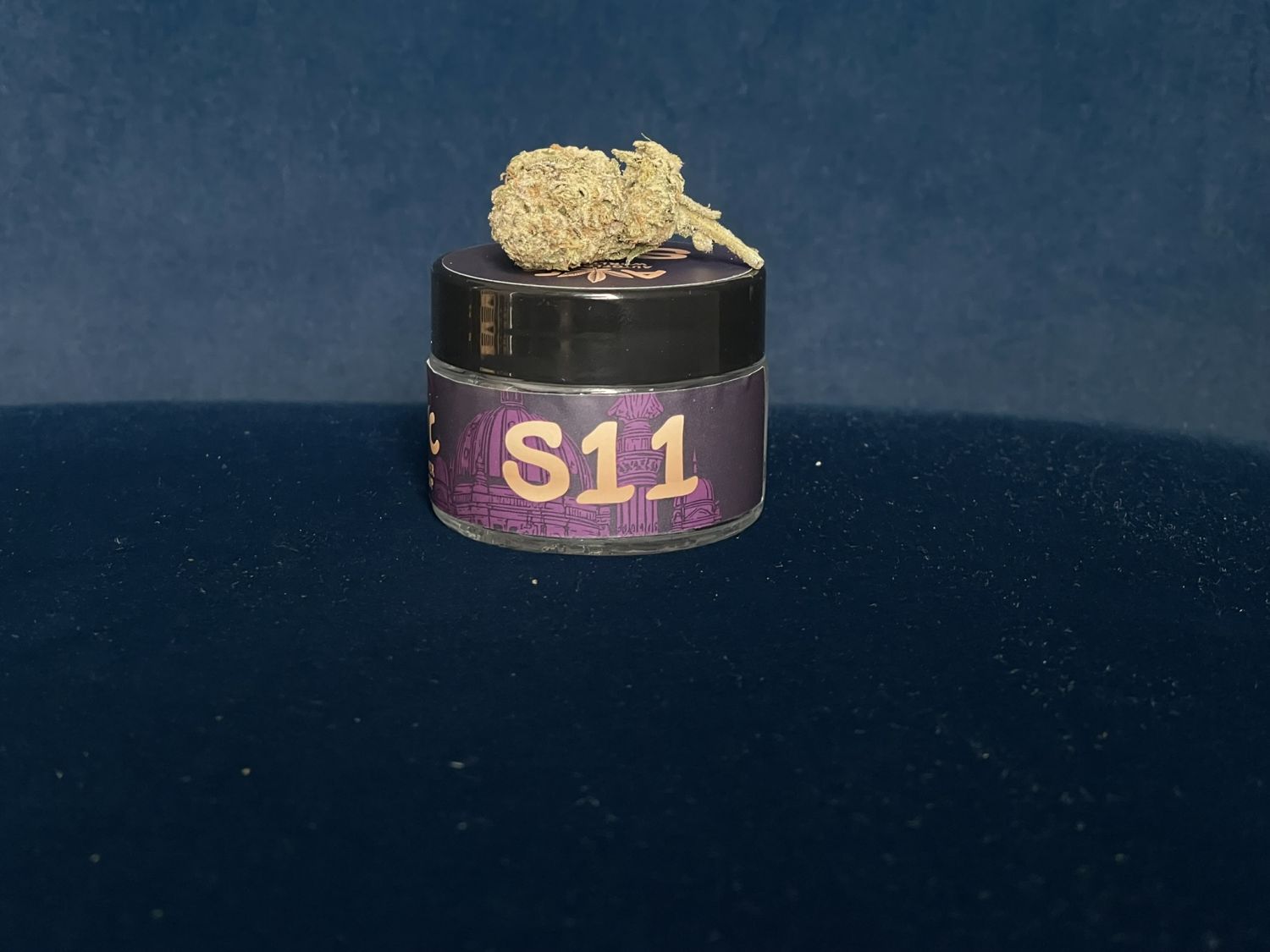 Fast Buds Mango Frost