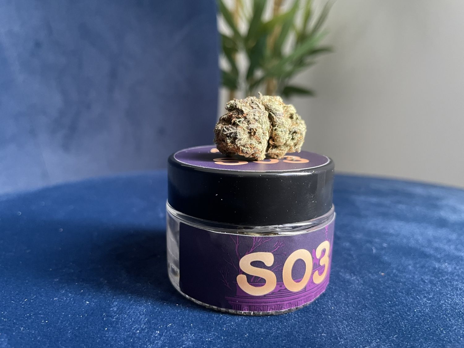 S03 Bud Voyage Green Gelato Auto 4.JPEG Bud Voyage Green Gelato Auto