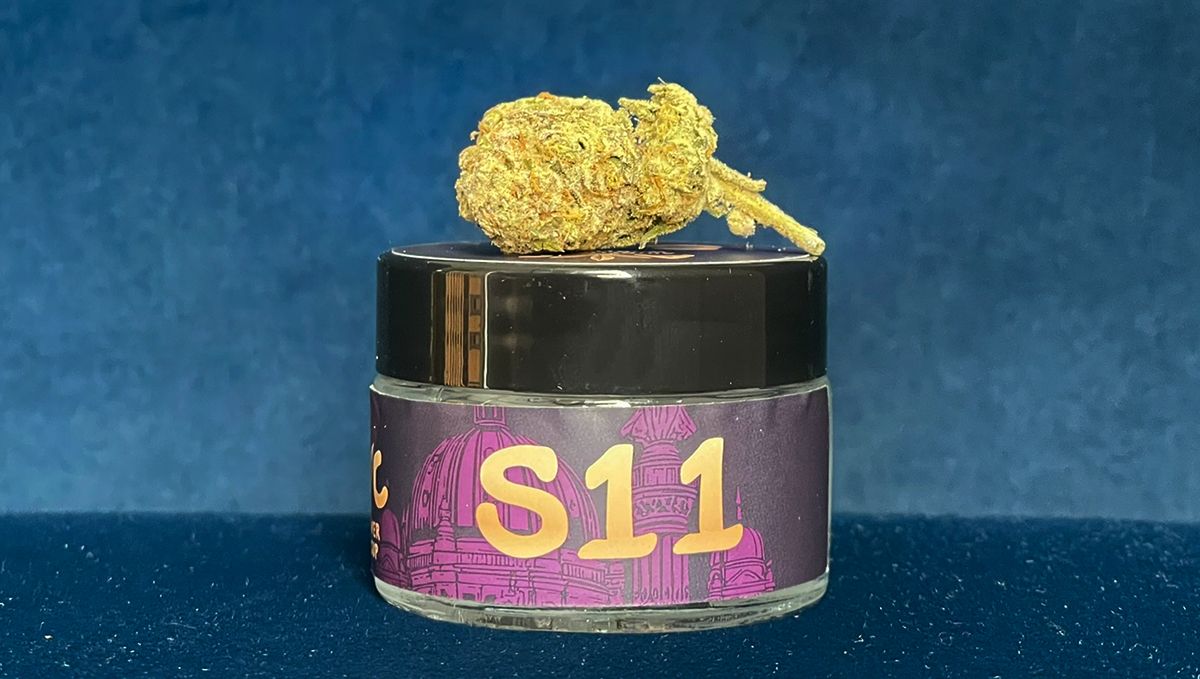 S11 FB Mango Frost1.jpg Mango Frost Auto