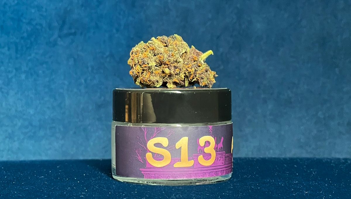 S13 Fast Buds Purple Haze 5.jpg Fast Buds Buds Purple Haze