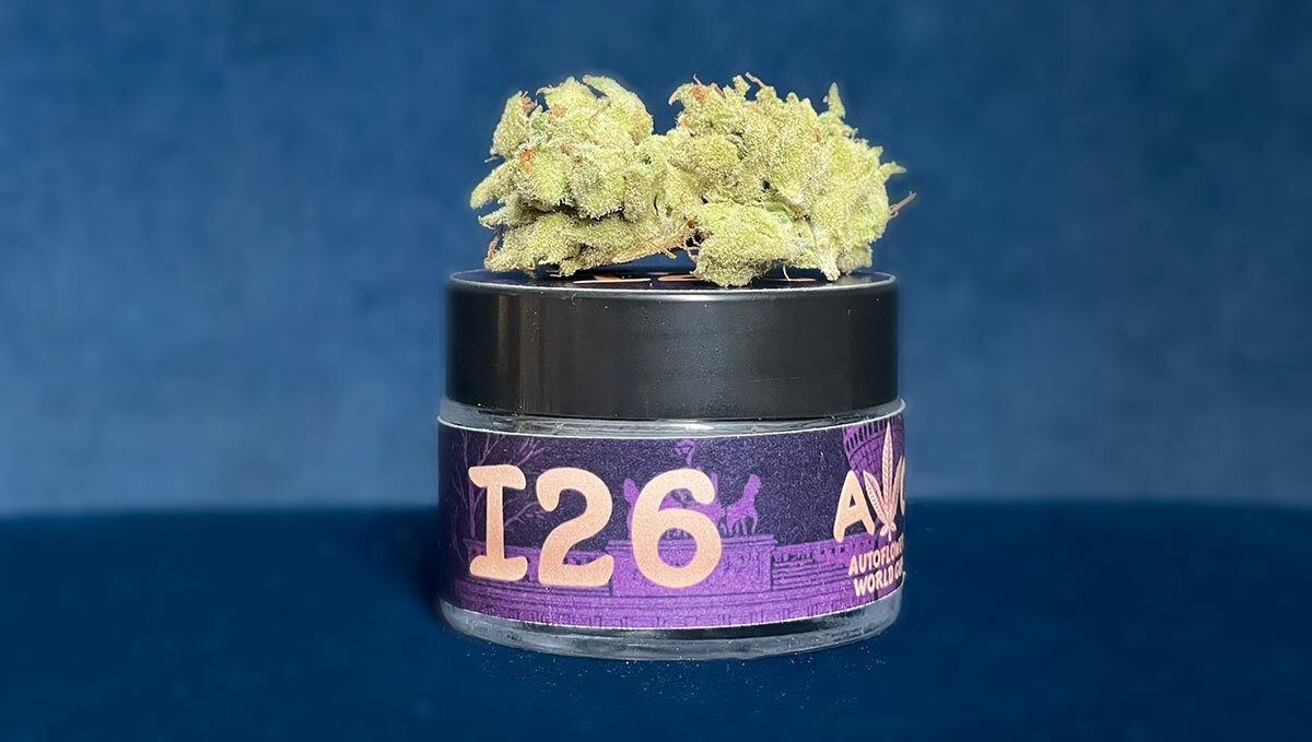 253.jpg Bubble Gummy Auto