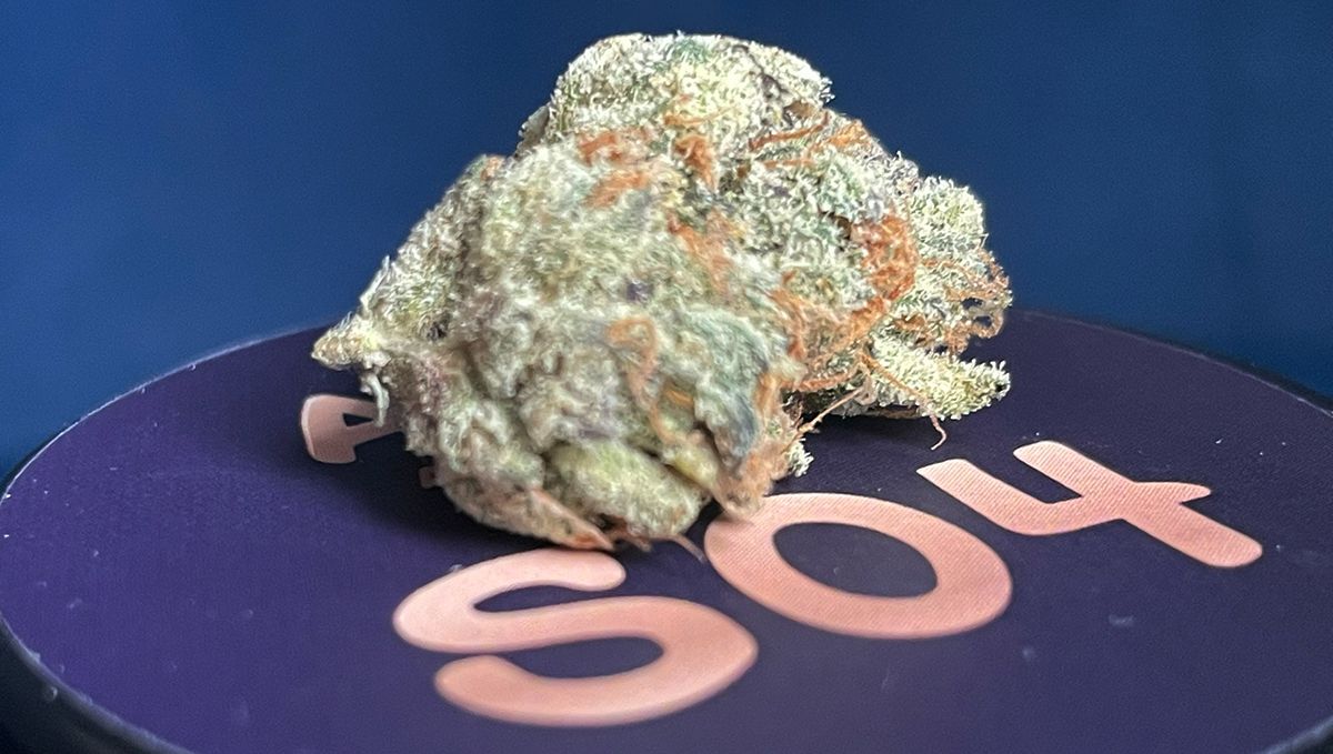 RQS2 Trainwreck.jpg Trainwreck
