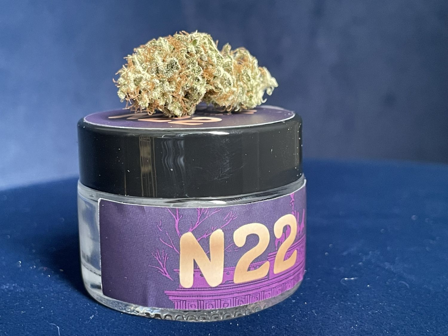 Seedstocker Barcelona Puff