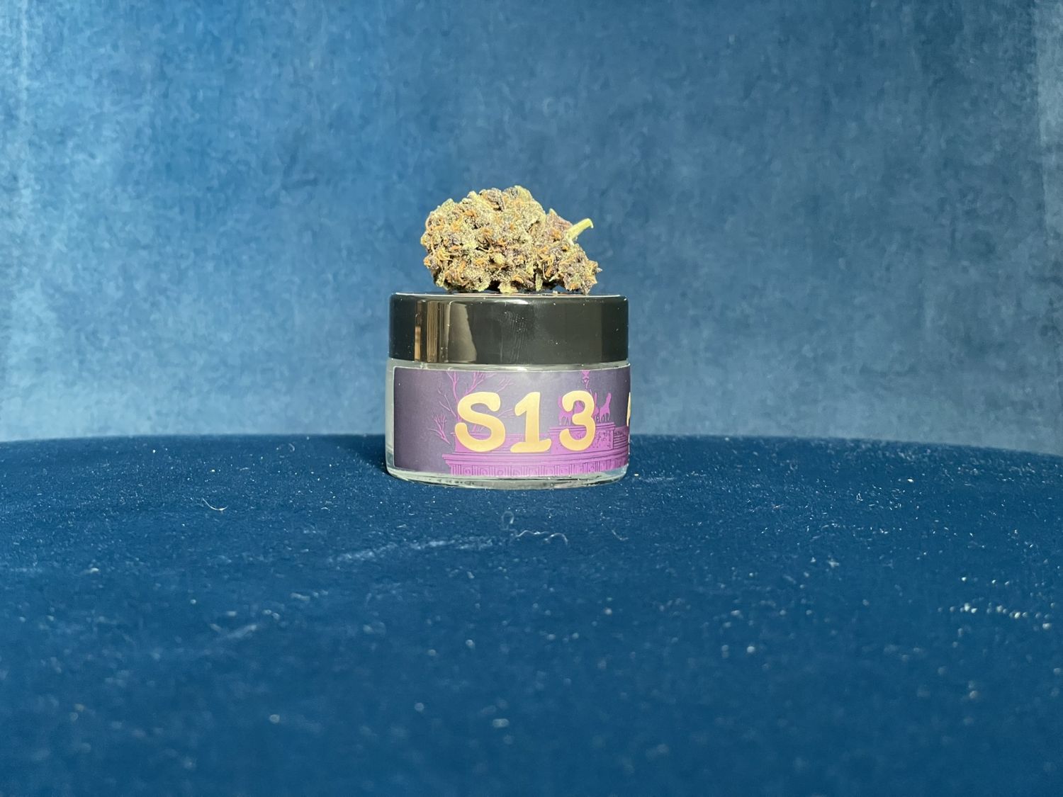 S13 Fast Buds Purple Haze 5.JPEG Fast Buds Purple Haze