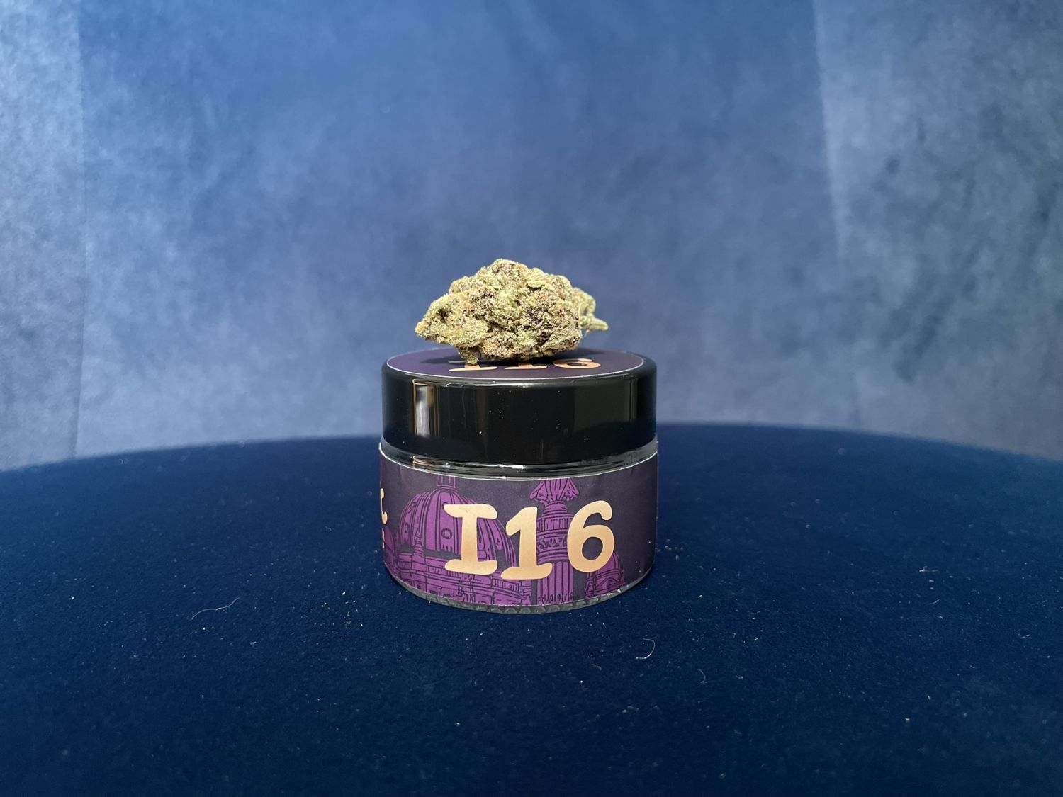 I16 Fast Buds Frostbanger.JPEG Frostbanger