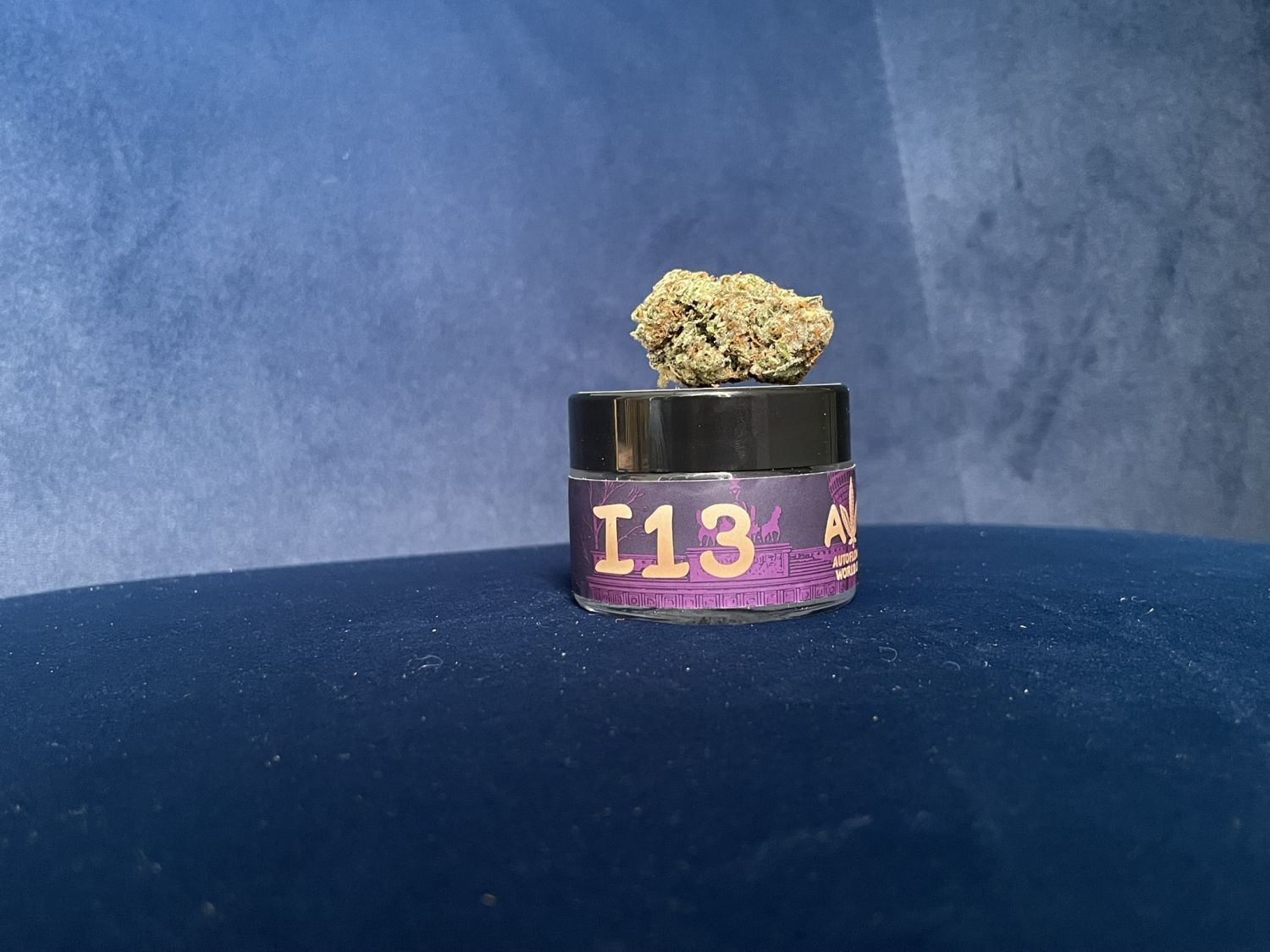 I13 Fast Buds Mendo Frost.JPEG Mendo Frost