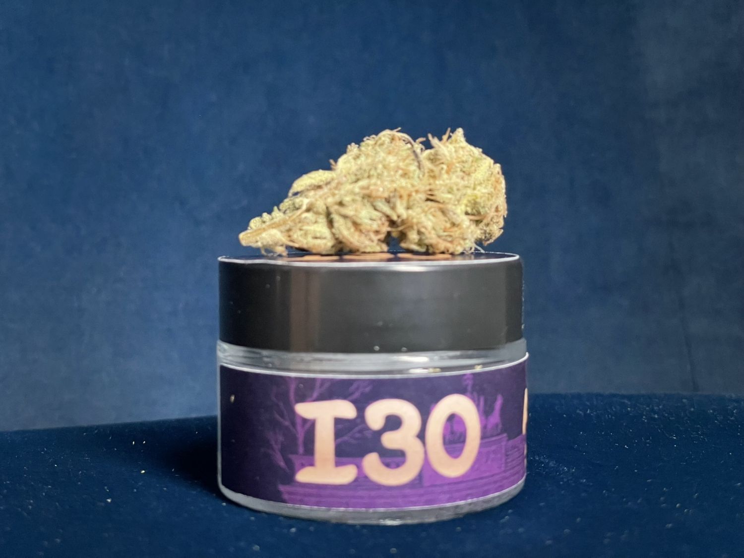 Purple City Genetics Persian Mulberry