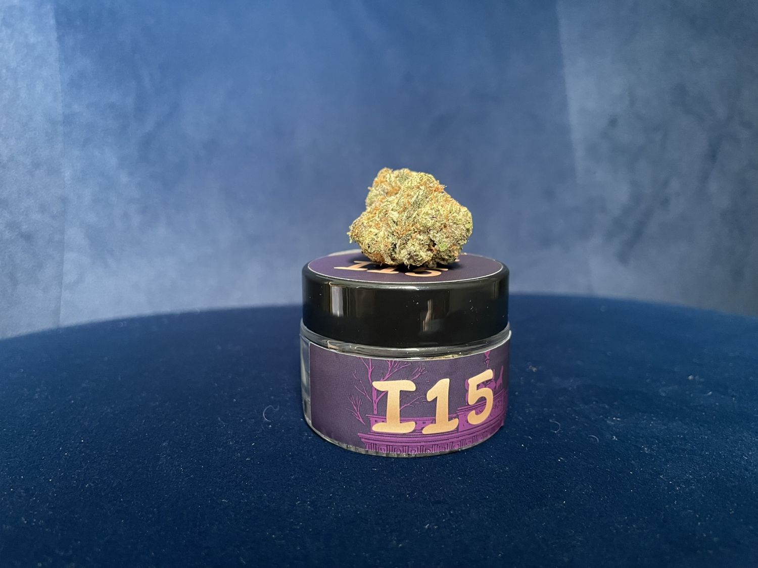 I15 Night Owl Wizard's Apprentice F4 Auto.JPEG Wizard's Apprentice F4 Auto