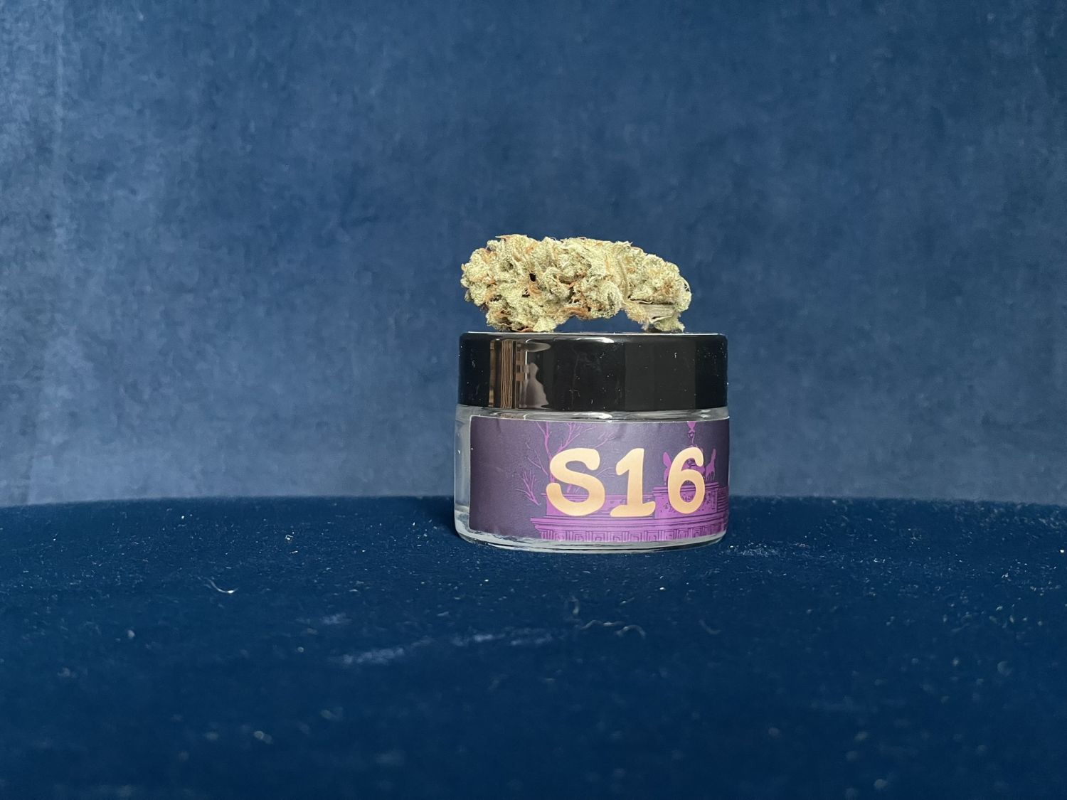 S16 Humboldt OG triploid Auto5.JPEG Humboldt OG triploid Auto