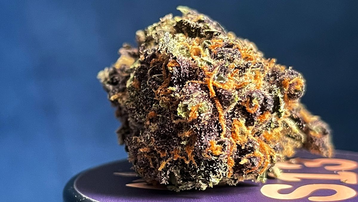 S13 Fast Buds Purple Haze.jpg Purple Haze Auto