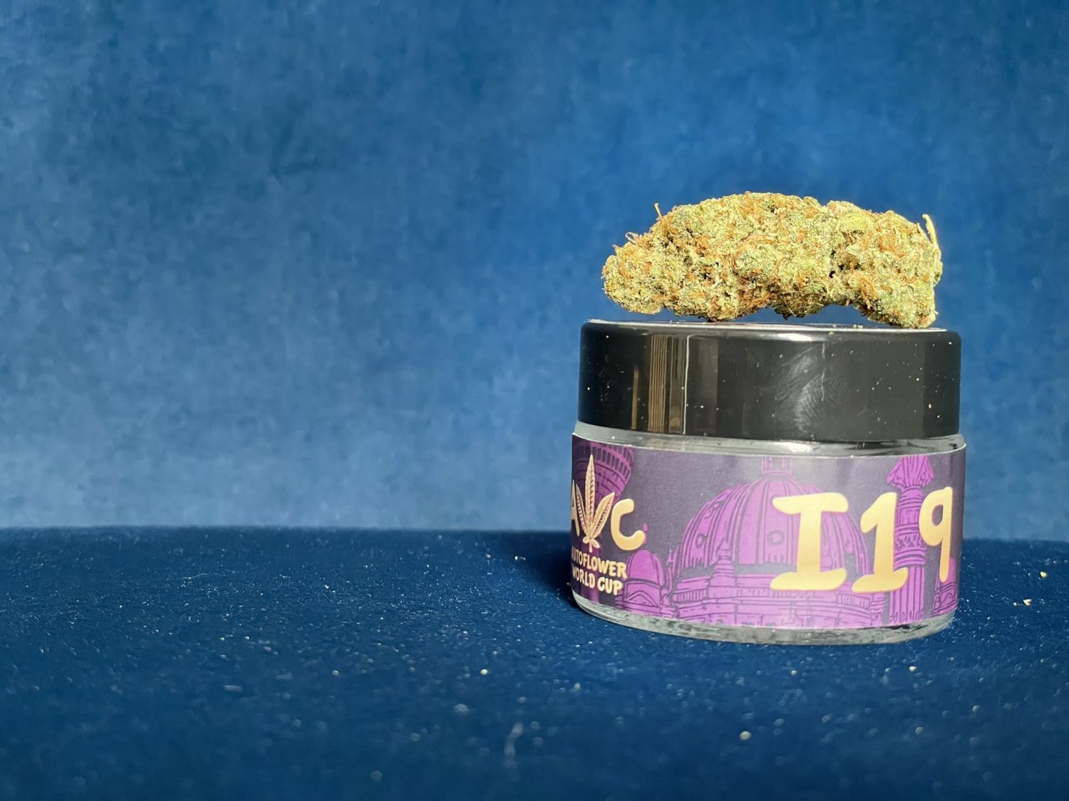 I19 Fast Buds Gorilla Z.JPEG Gorilla Z