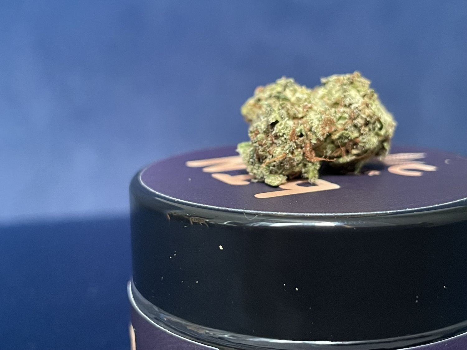Gaia F1 Hybrid