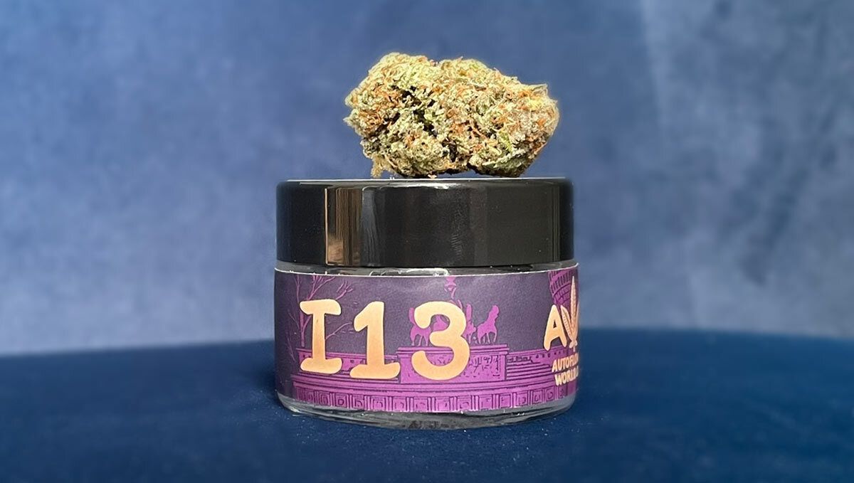 250.jpg Mendo Frost