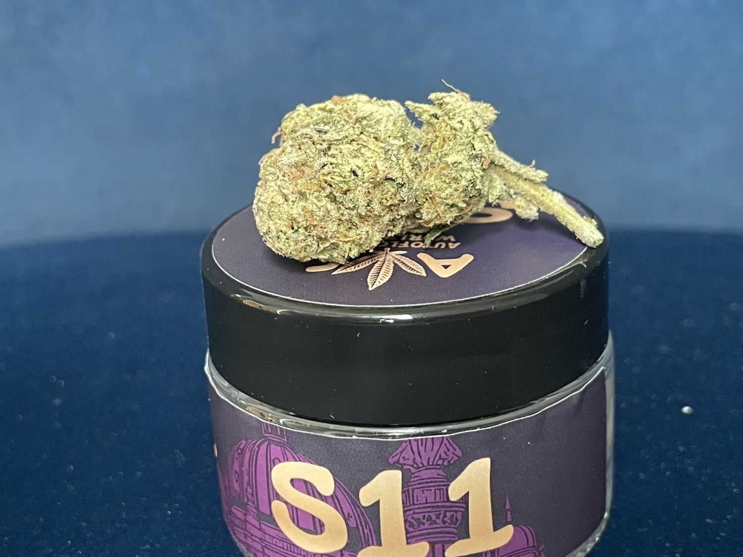 S11 FB Mango Frost6.JPEG Mango Frost