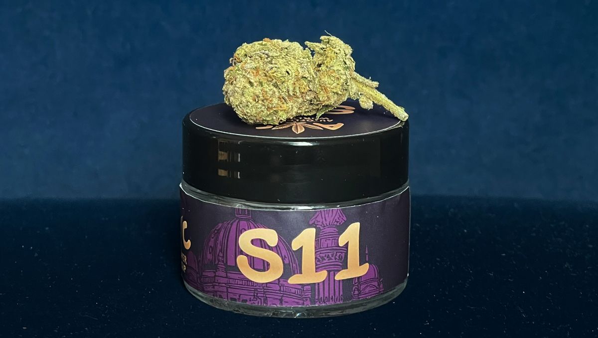 S11 FB Mango Frost4.jpg Mango Frost Auto