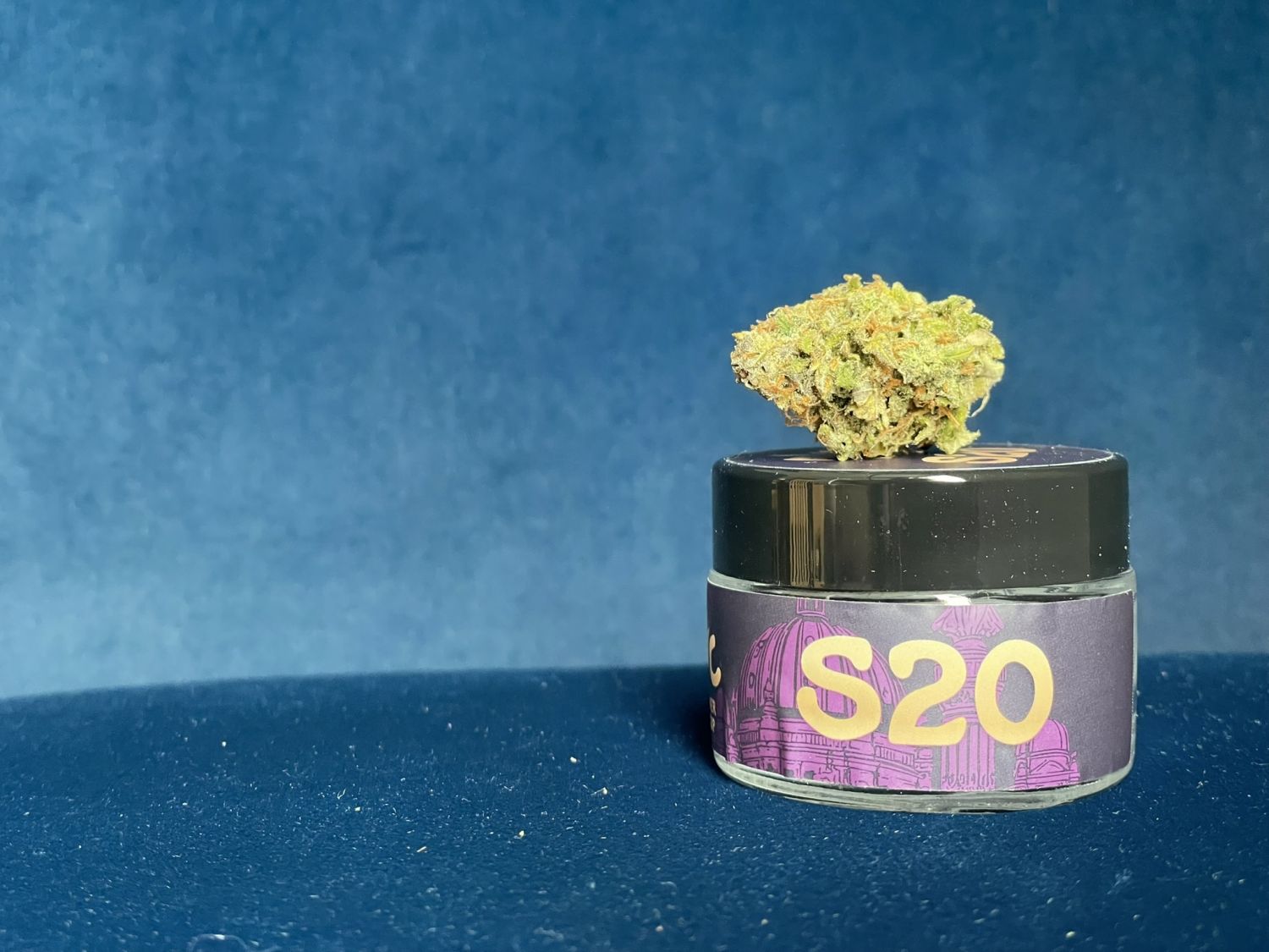Jet Fuel Mandarine XL Auto, Sweet Seeds