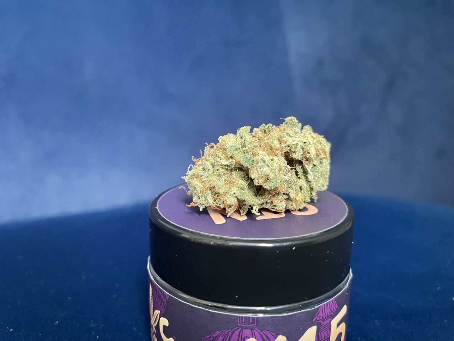 Mephisto Guava Fig
