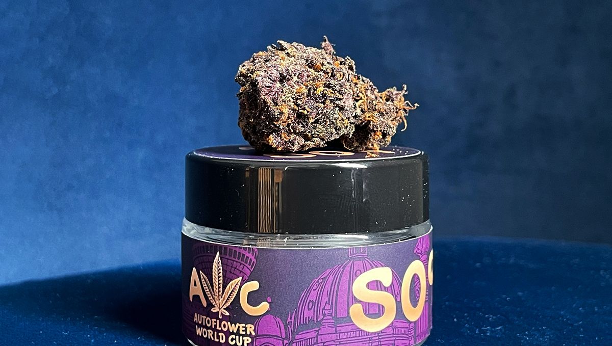S09 FB Purple Lemonade RF3 4.jpg Purple Lemonade RF3