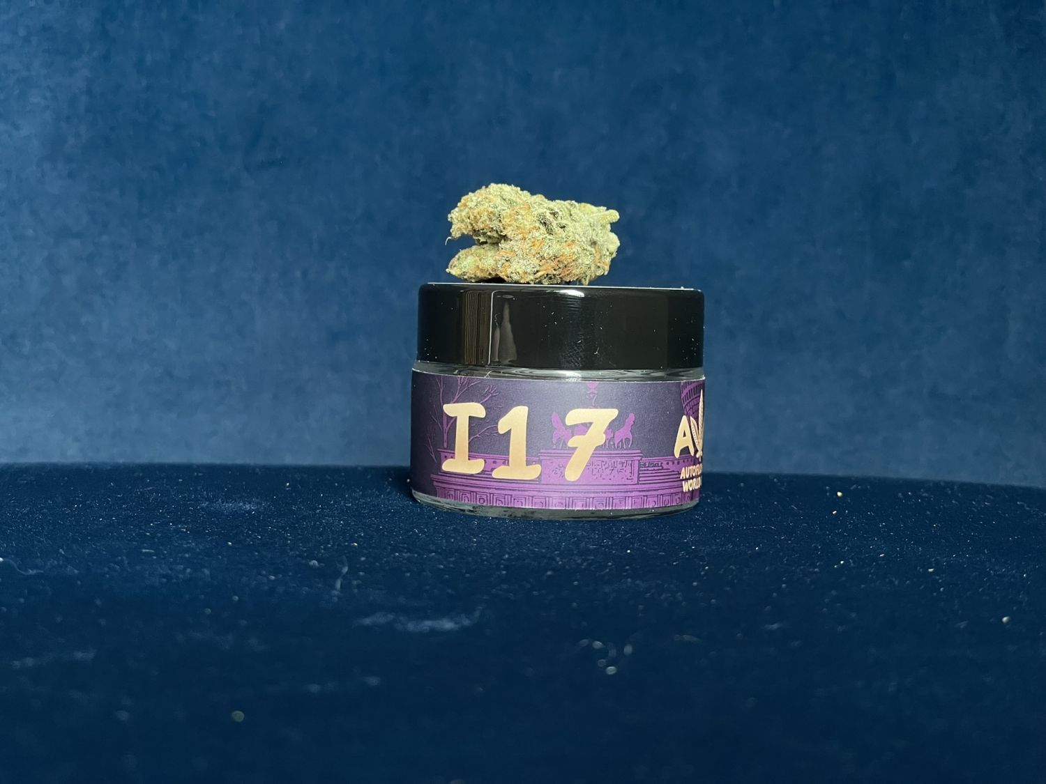 I17 Guava Sundae Fast Buds1.JPEG Guava Sundae