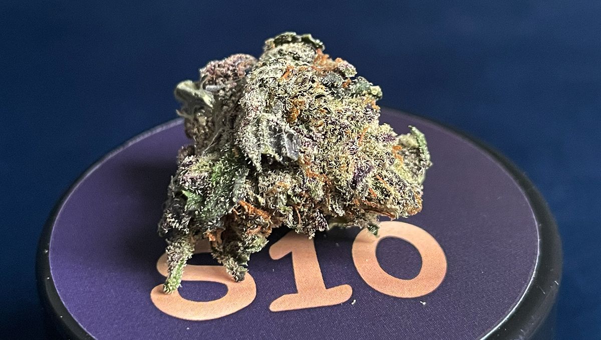 S10 Fb Mango Cherry Runtz5.jpg Mango Cherry Runtz