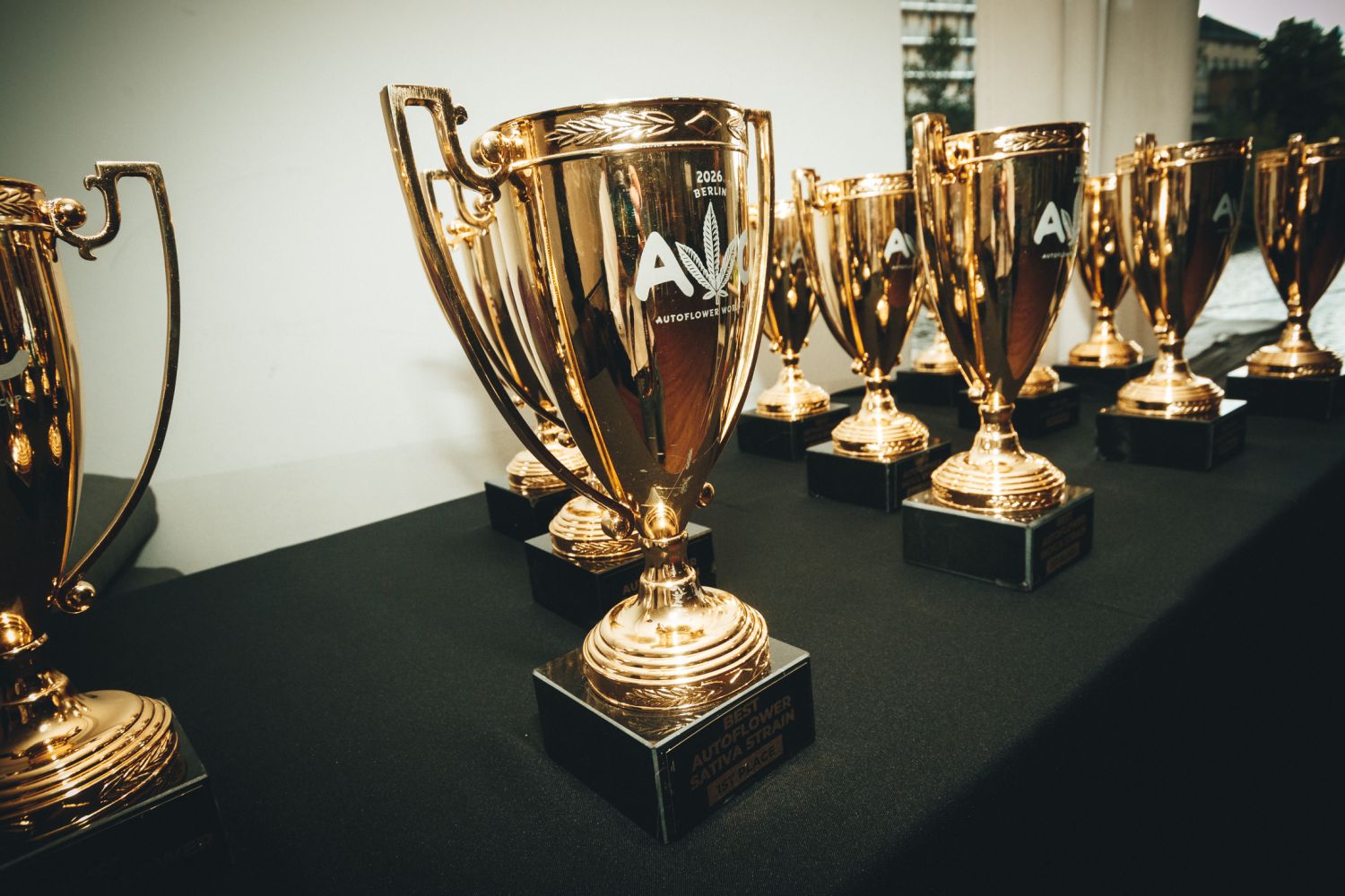 AWC 2026 trophies displayed side by side on a table.