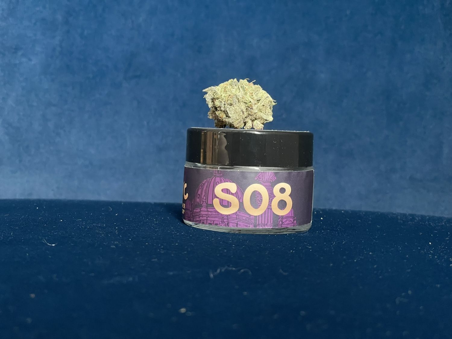S08 FB Fast Buds Purple Haze 7.JPEG Fast Buds Purple Haze