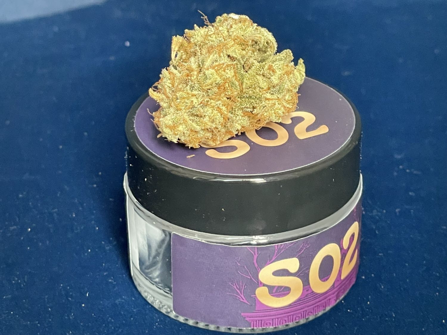 Bud Voyage Candy Frost