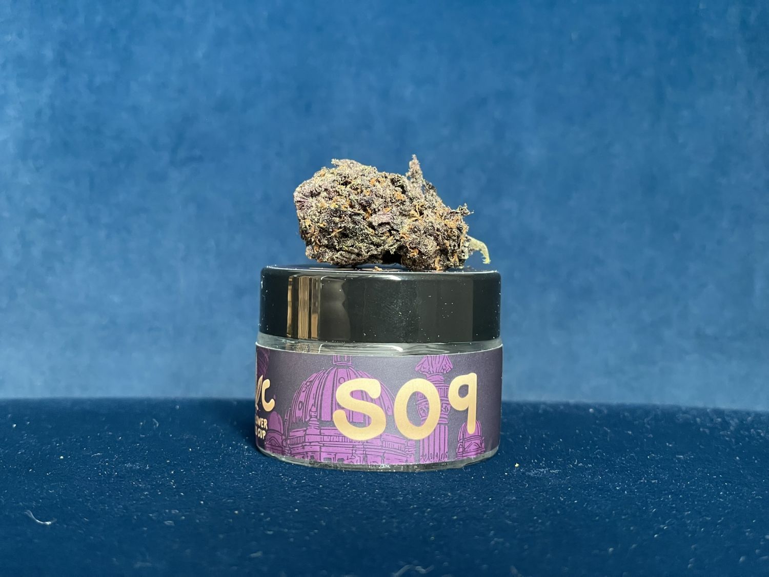S09 FB Purple Lemonade RF3.JPEG Purple Lemonade RF3