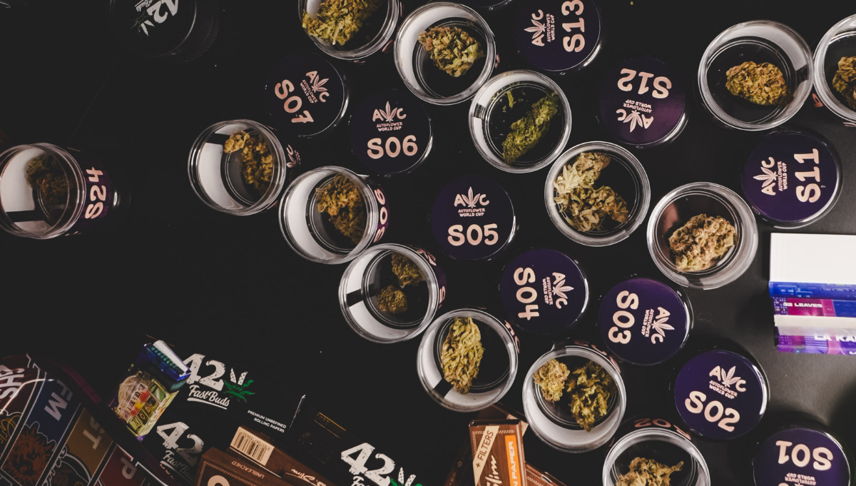 autoflower world cup