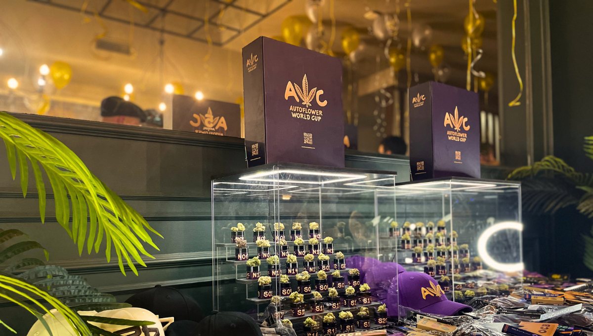 We Built This in Barcelona: The Autoflower World Cup Before Berlin