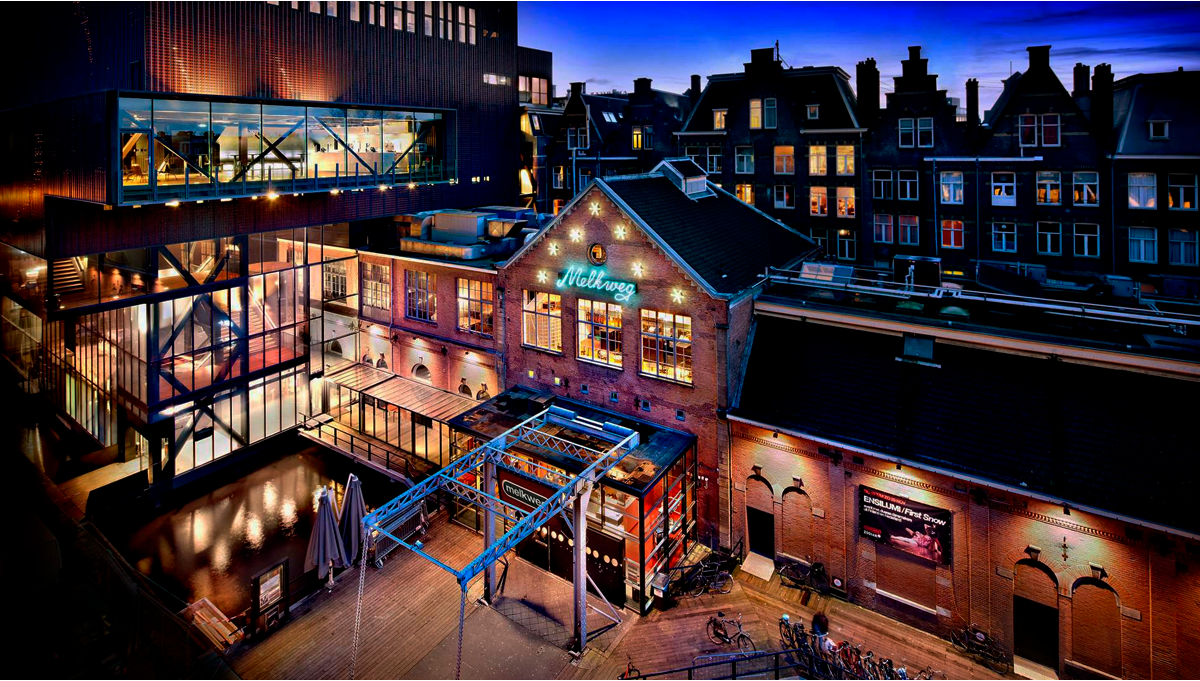 Cannabis Cup in Amsterdam: Ultimate Guide 