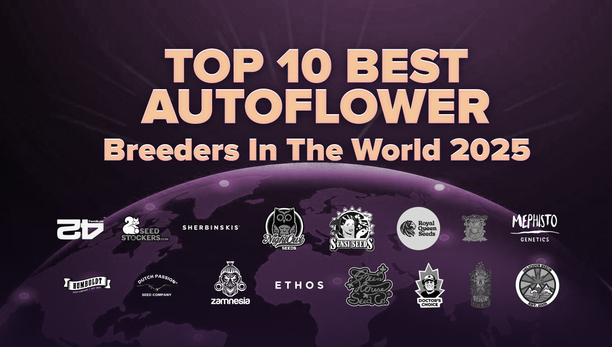 Top 10 Best Autoflower Breeders in The World 2025
