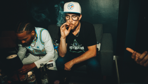 Sativa vs Indica Autoflowers. What’s the Difference?